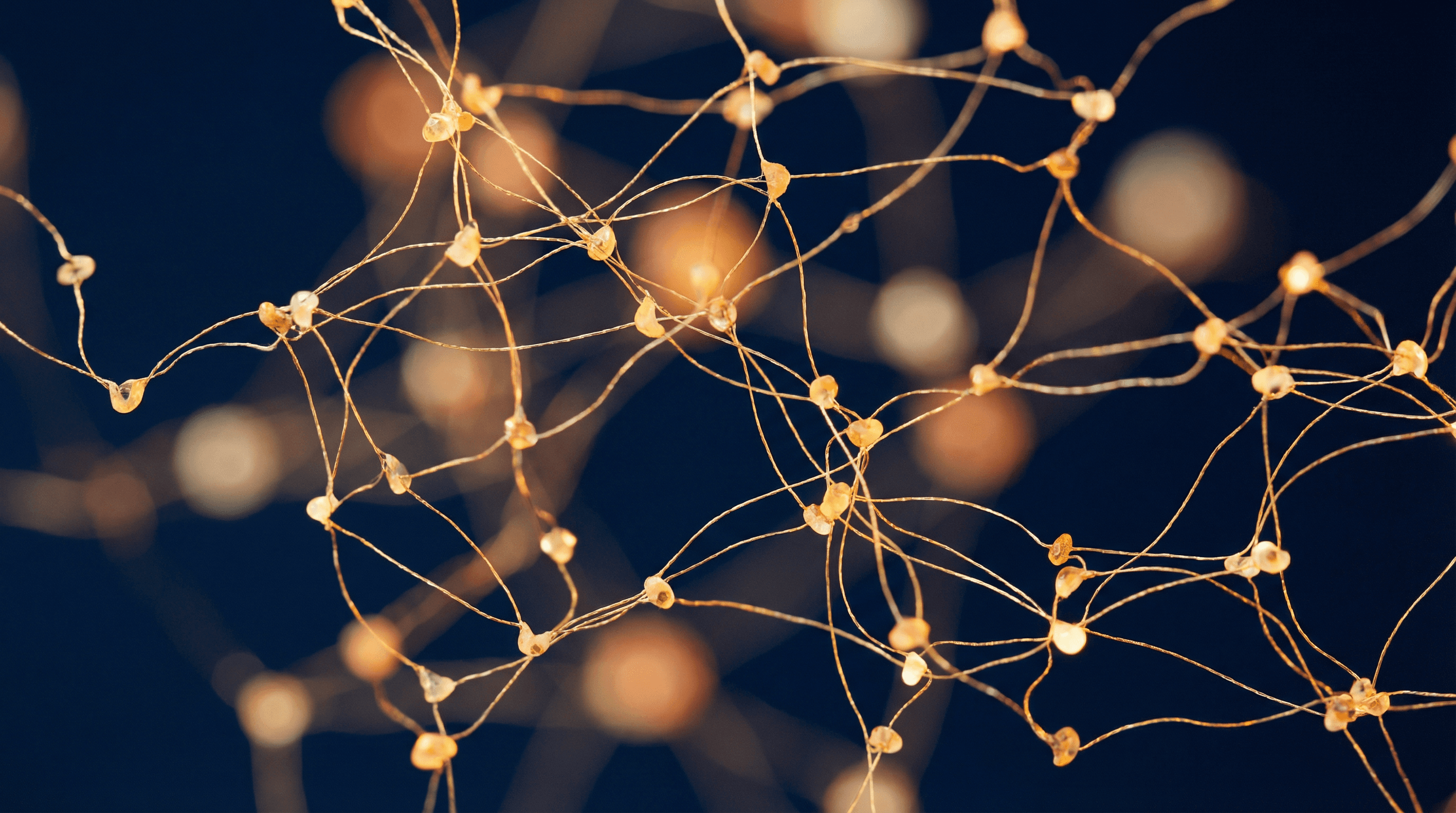 Terrorism Victim Rights Lawyer Dallas — Terrorism Victim Rights: Understanding Your Legal Options in Dallas & Beyond | Lenahan Law Firm